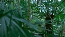 CAUGHT - Season 01 Episode 02